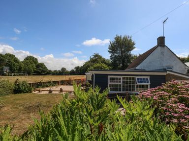 A garden with a house and basketball court at Greenwich Cottage in Burton Bradstock