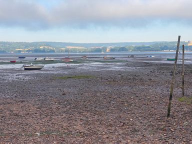 An area with boats on water at low tide at Tower View Cottage in Lympstone