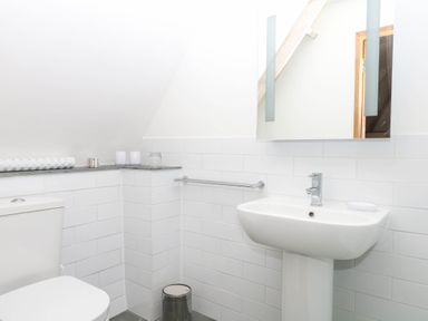 A bathroom with a sink and toilet at The Hayloft at Manaton