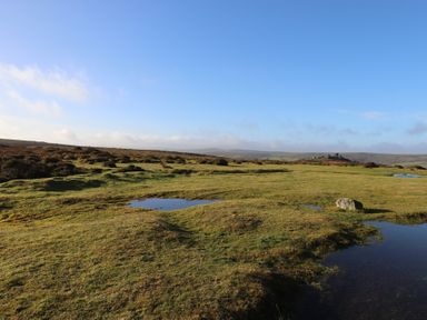 A landscape with grass and puddles at The Hayloft at Manaton