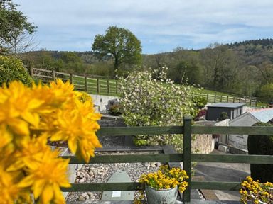 A garden view with flowers and trees at River Tamar Couples Retreat Dog Friendly in Newbridge