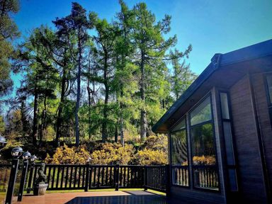 A deck view with trees in the background at Dunoon 3Bed Lodge Sleeps 6 Pet Friendly near Dunoon