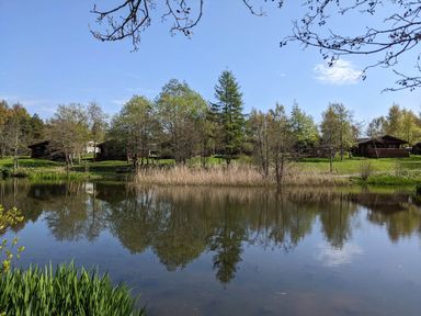 A lake with reflections of trees and cabins at Felmoor Park near Felton