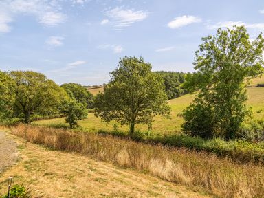 A view of trees and a field at Cosy Luxury Owls Roost Hut with Private Hot Tub Little Deptford Farm near Umberleigh