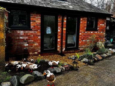 An outdoor area with a brick wall and ducks near a building at the property in unspecified location