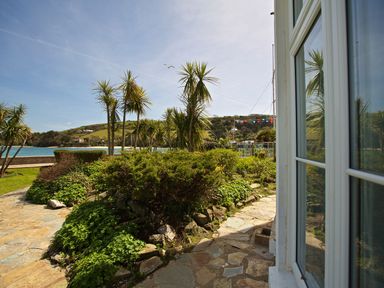 A garden with palm trees and a pathway at 4 The Salcombe in Salcombe