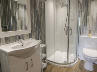 A bathroom with sink, mirror, shower, and toilet at Dewi Villa Apartment Aberaeron