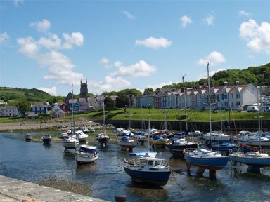 A view of boats in water with buildings and trees at Dewi Villa Apartment Aberaeron