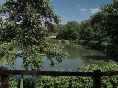 A pond surrounded by trees and greenery at Lakewood Plot 4 St. Osyth