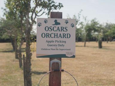 A sign indicating apple picking at Oscars Orchard in Pump Hill Caravan Park