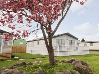 A mobile home with a tree and rocks in front at Rosella 38 in Morecambe