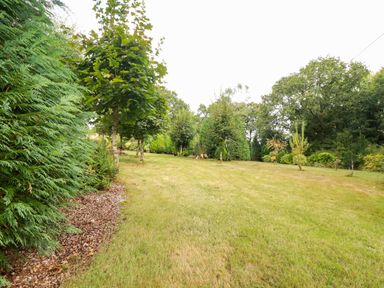 A garden with grass and trees at Honey Bee Cottage in Menheniot