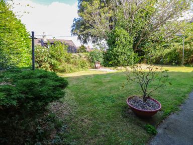 A garden area with grass, trees, and a plant pot at Prudhoe Cottage in Prudhoe