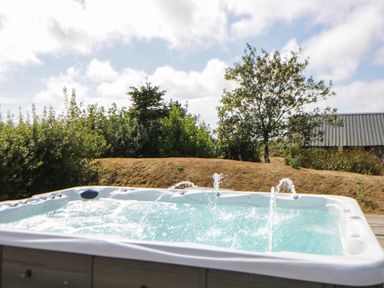 A hot tub with water features and greenery at May Cottage St Davids