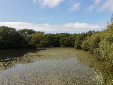 A landscape with water and surrounding greenery at May Cottage St Davids