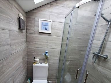 A bathroom with a shower and toilet at 3 Bedroom Cottage Hot Tub Garden Parking Dunkeswell