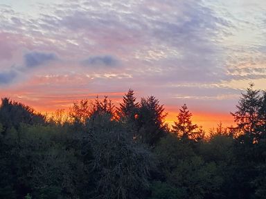 A sunset over trees with clouds in the sky at 3 Bedroom Cottage Hot Tub Garden Parking Dunkeswell