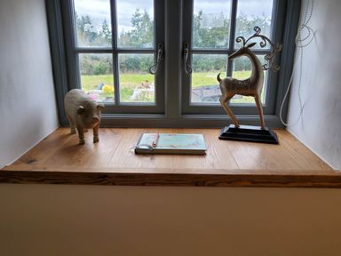 A window sill with a pig figurine, a deer figurine, and a notebook at 3 Bedroom Cottage Hot Tub Garden Parking Dunkeswell