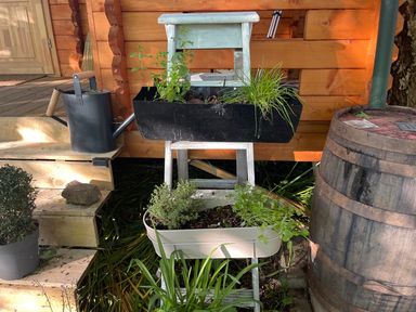 A wooden planter with various plants and a watering can at a garden