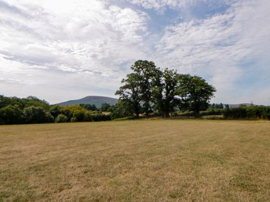 A field with trees and mountains in the background at Oak Lodge Brecon