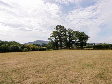 A field with trees and a hill at Sycamore Lodge in Brecon