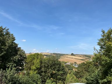 A view of fields and trees at The Old Forge in Bickerton near East Prawle
