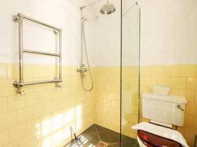 A bathroom with a shower and toilet at The Homestead in 