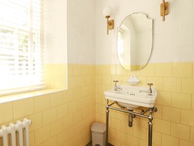 A bathroom with a sink and mirror at The Homestead in 