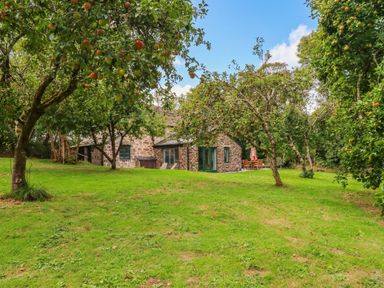 An outdoor area with a house and trees at The Homestead 