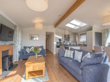 A living room with sofas, a coffee table, and a kitchen area at 2 Bedroom Sleeps 4 Lodge Smart Tv Hot tub Dogs Ok near Lochwinnoch