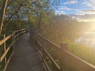 A wooden walkway beside water with trees at the sides near Lochwinnoch