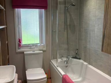 A bathroom with a toilet, sink, and shower at Harrogate Lodge Sleeps4 South Facing Decking, Lufflands Caravan Park near Holsworthy
