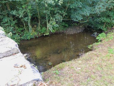 A stream surrounded by trees and grass at Felin Bach Aberdaron