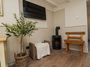 A living room with a television, plant, and stove at Blue Cottage in Malton