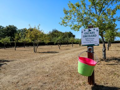 An outdoor orchard with apple trees and a sign at Oscars Orchard in St. Osyth