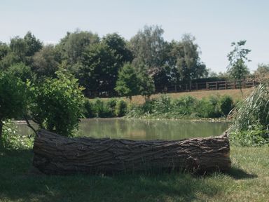 A log near a pond surrounded by grass and trees at Lakewood Plot 9 St. Osyth
