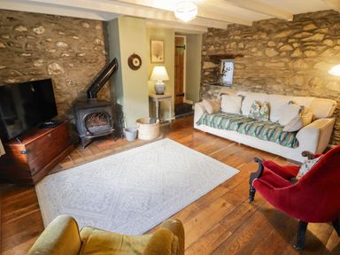 A living room with a television and a fireplace at Ty'r Wennol in Fishguard