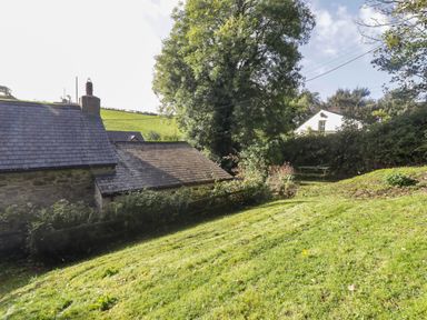 A garden with grass and trees at Ty'r Wennol in Fishguard
