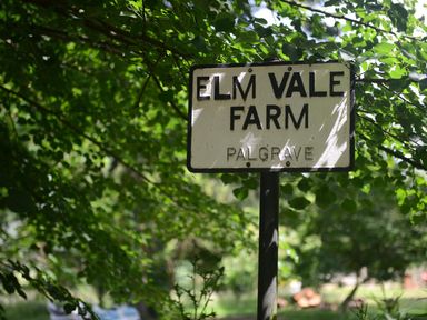 A sign for Elm Vale Farm in Palgrave