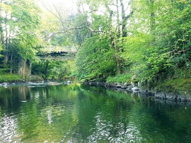 A river surrounded by trees with a bridge overhead at Pet Friendly 2-Bed Lodge, Sleeps 5, Pool & Parking, Caernarfon