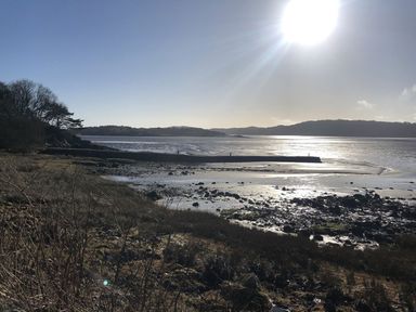 A view of the shoreline with rocks and water at Holly Blue - Cosy wooden lodge, Kippford