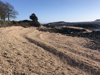 A beach with pebbles and trees at Holly Blue - Cosy wooden lodge, Kippford near Dalbeattie