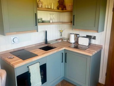 A kitchen with sink and appliances at Peaceful Shepherd Hut near Clovelly
