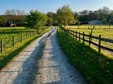 A gravel road lined by trees and a fence near a barn at Peaceful Shepherd Hut near Clovelly, Buckland Brewer near Great Torrington