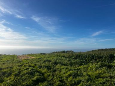 A view of grassland and ocean under a blue sky at Peaceful Shepherd Hut near Clovelly