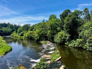 A river with trees and a waterfall at Peaceful Shepherd Hut near Clovelly