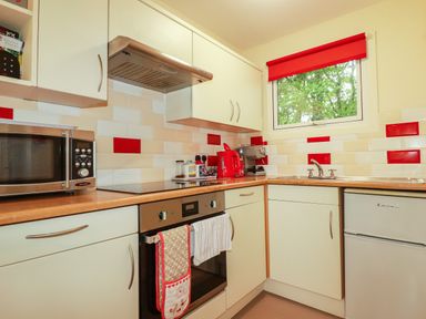 A kitchen with appliances and a window at Villa 12 near Camelford