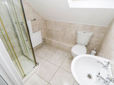 A bathroom with a shower, toilet, and sink at Doughbeg Beach Cottage