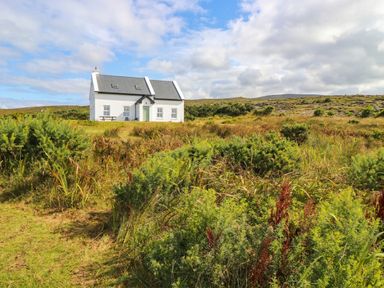 A house surrounded by grass and bushes at Doughbeg Beach Cottage in 