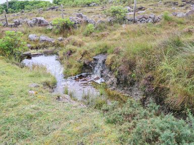 A stream flowing through grass and rocks at Doughbeg Beach Cottage